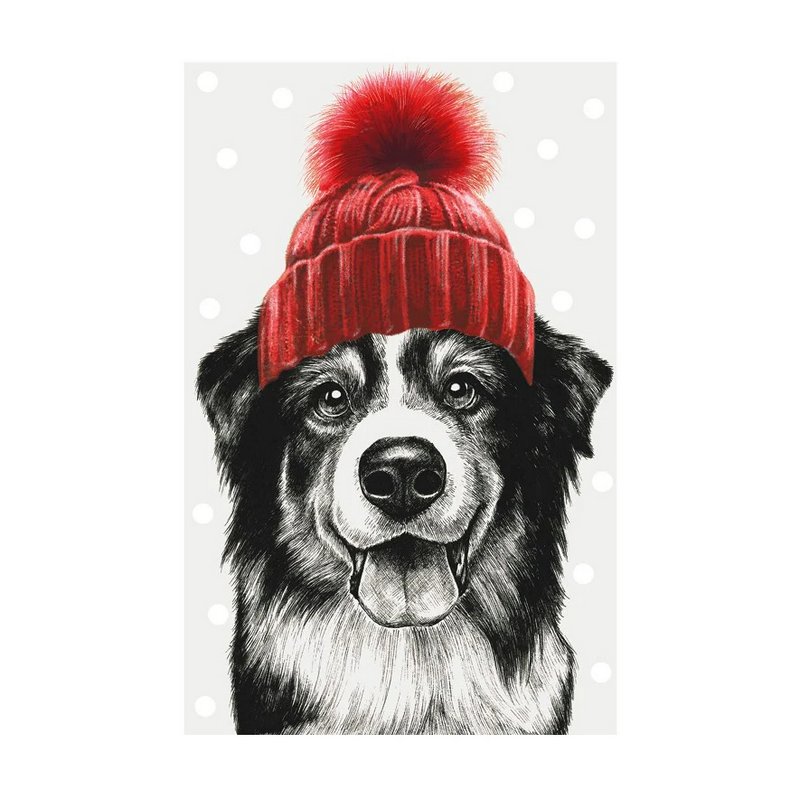 Art File Border Collie With Bobble Hat Christmas Card ISX07 front