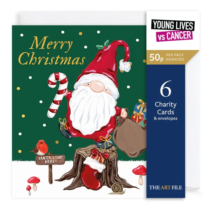 Art File Charity Christmas Cards Pack Gonk XP427 pack front