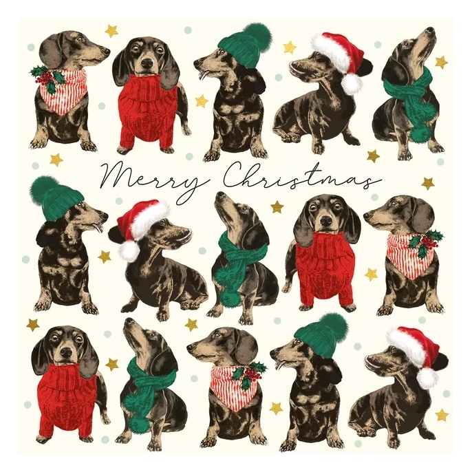 Art File Christmas Cards 10 Frank in Sweaters WAX120 card 1