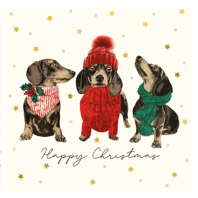 Art File Christmas Cards 10 Frank in Sweaters WAX120 card 2