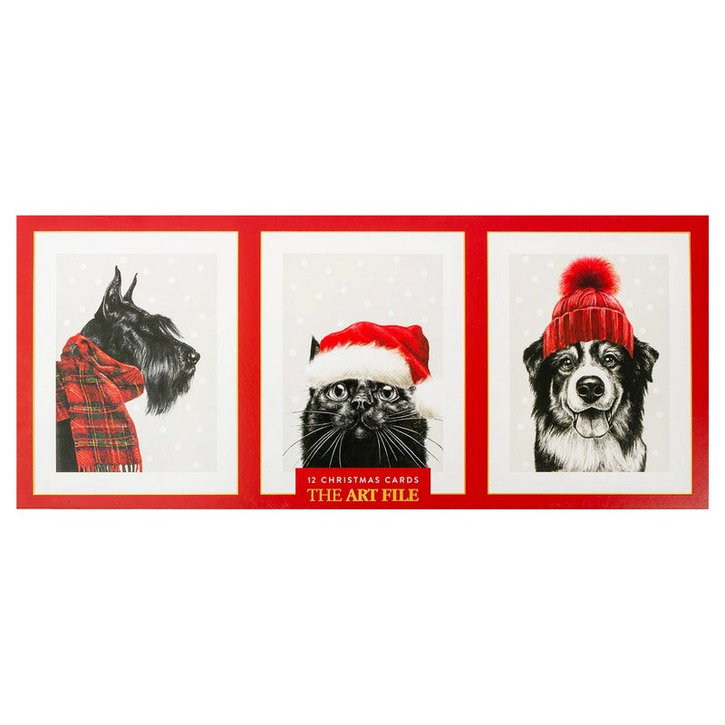 Art File Cosy Animals Trio Christmas Card Box TRIX24 main