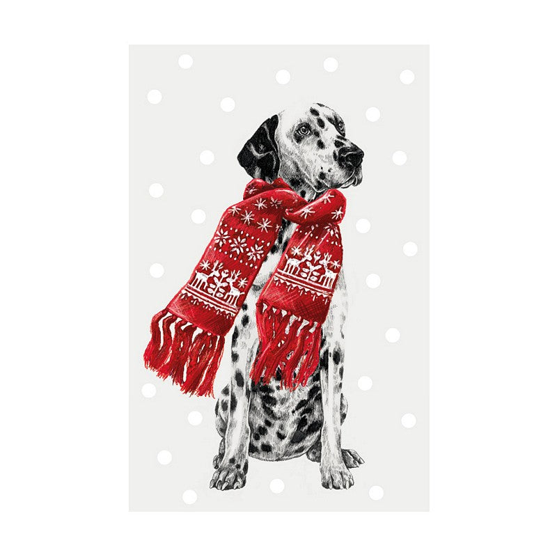 Art File Dalmation With Festive Scarf Christmas Card ISX04 front