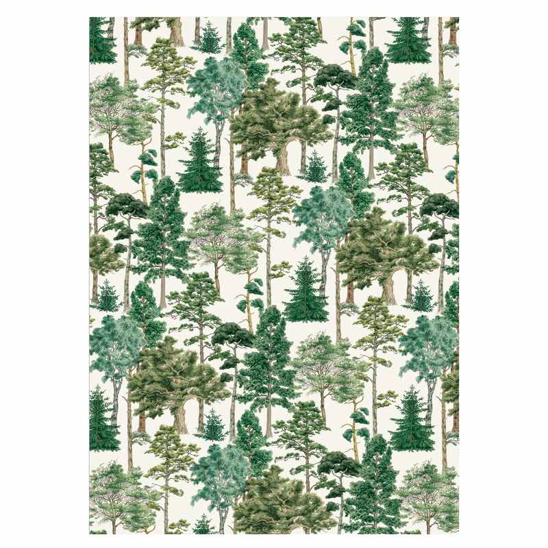 Art File Major Oak Forest Gift Wrap GW131 front