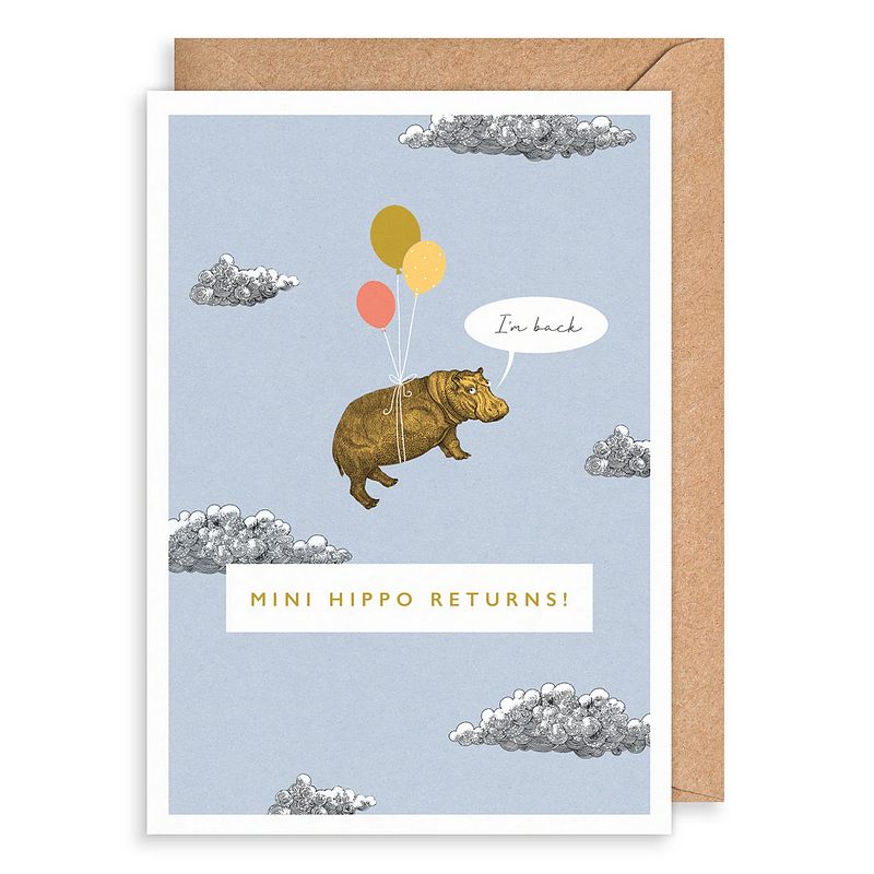 Art File Mini Hippo Returns Birthday Card NR14 front