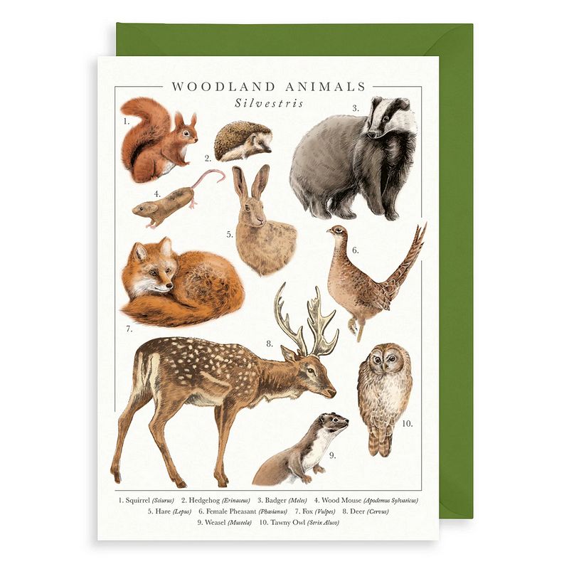 Art File Woodland Animals Greetings Card NP02 front