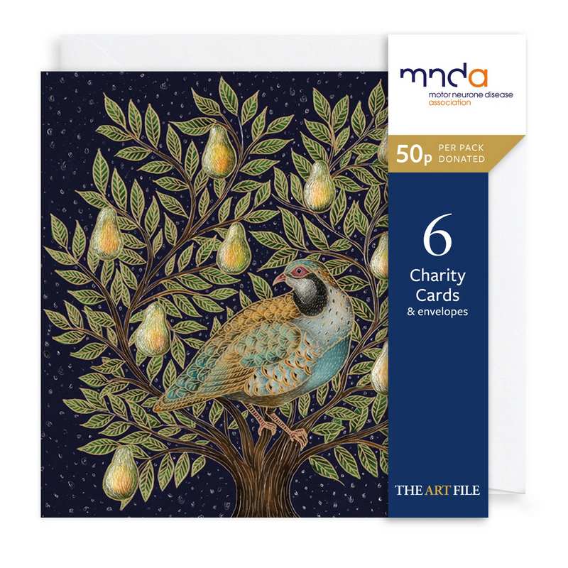 Art File Xmas Cards 6 Pack Partridge & Pear Tree XP396 pack