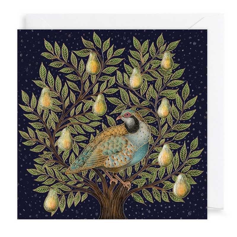 Art File Xmas Cards 6 Pack Partridge & Pear Tree XP396 with envelope