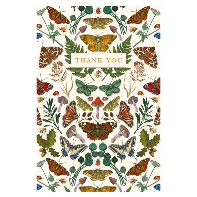 Autumn Butterflies Thank You Notecards Pack NBOX56 front