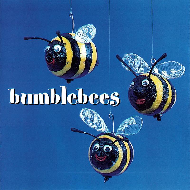 Bumblebees - Bumblebees HBCD0012 front