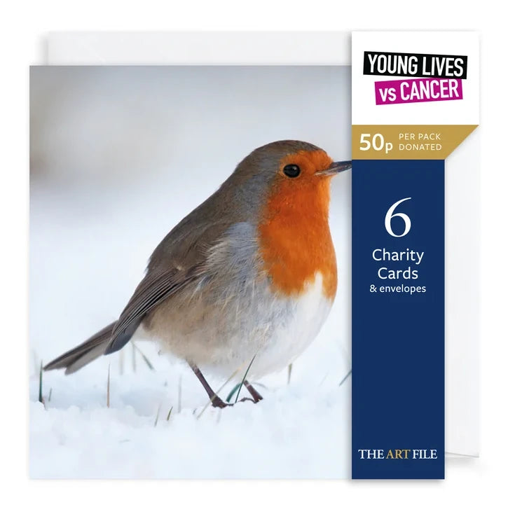 Charity Christmas Cards 6 Pack Photographic Robin XP440 pack front