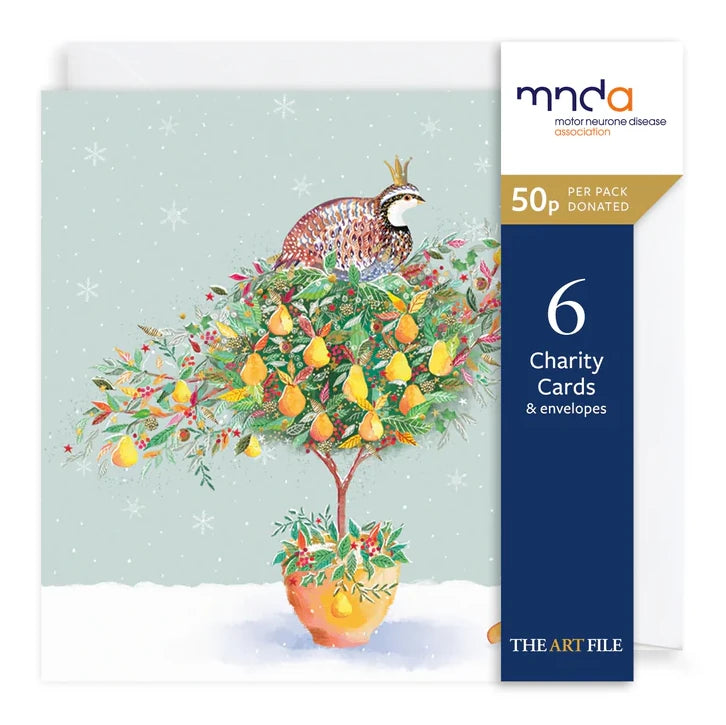 Charity Christmas Cards Pack - Partridge In A Gold Pear Tree XP423 pack front