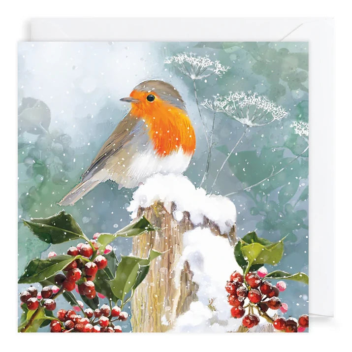 Charity Christmas Cards Pack Robin &amp; Holly Berries XP430 card front