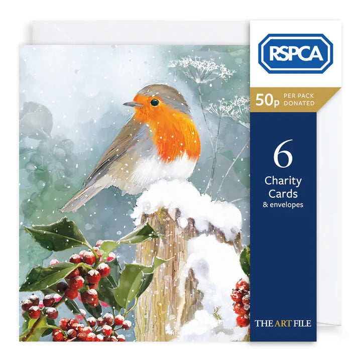Charity Christmas Cards Pack Robin &amp; Holly Berries XP430 pack front