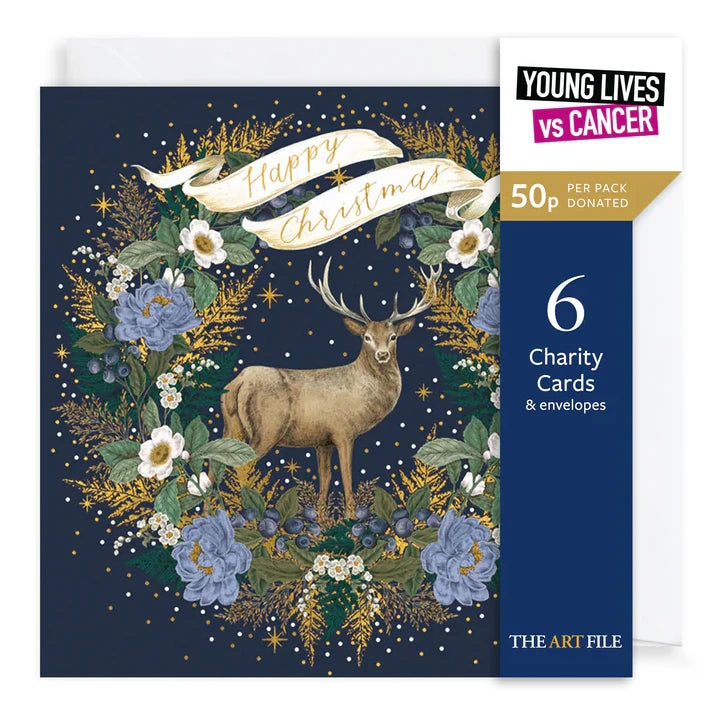 Charity Christmas Cards Pack Stag & Wreath XP428 pack front