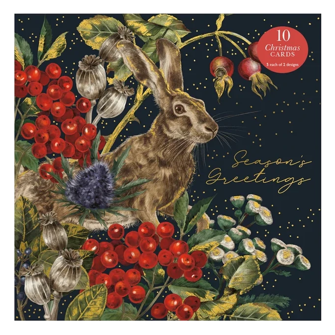 Christmas Cards 10 Pack Fable Hare and Owl WAX131 front