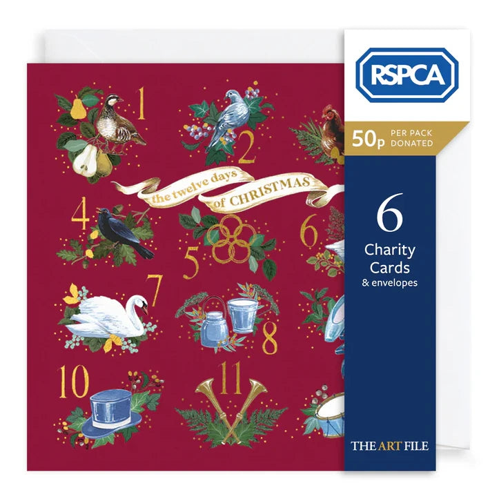 Christmas Cards 6 Pack Charity 12 Days of Christmas XP431 pack front