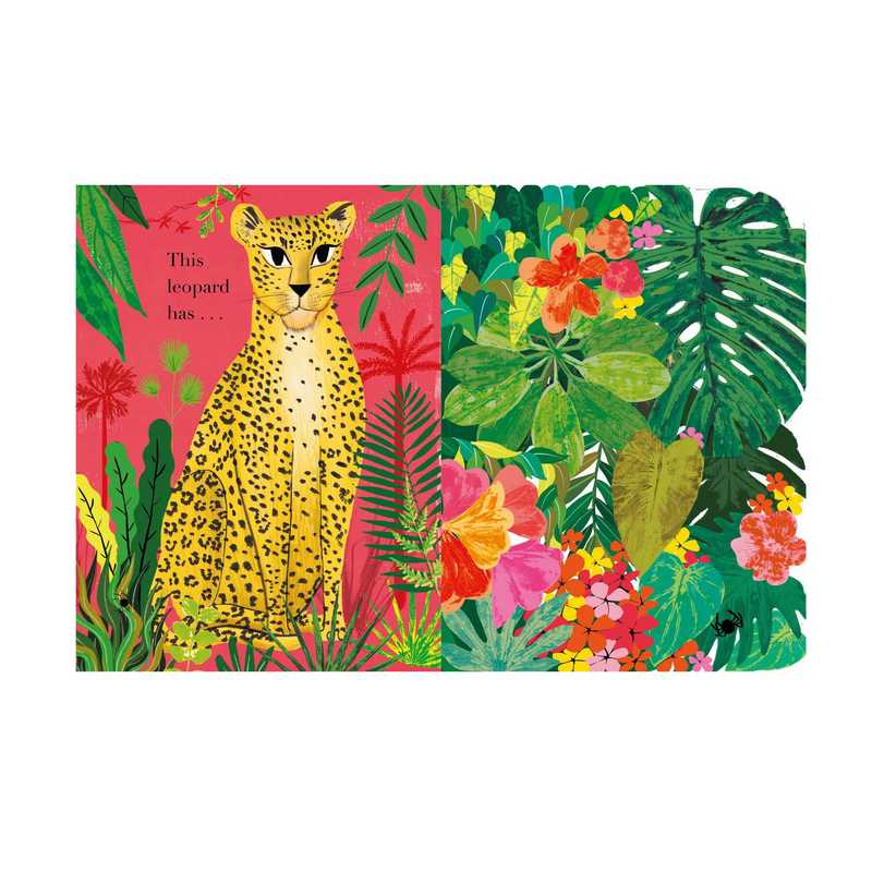 Counting Creatures PB Julia Donaldson inside