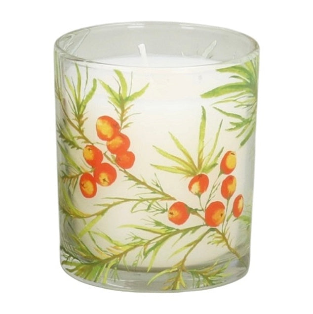 Gisela Graham Botanical Berry Boxed Scented Candle Large 50970 container