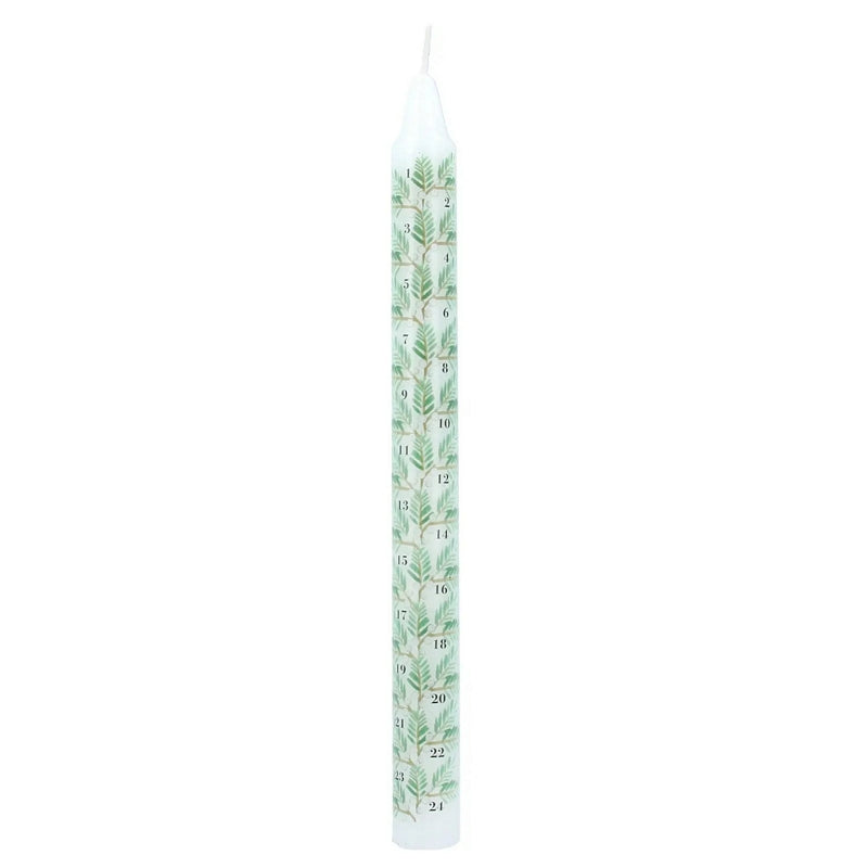 Gisela Graham Fir Sprigs Advent Candle 51420 main