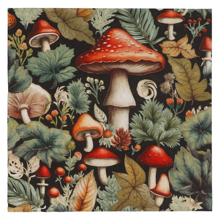 Gisela Graham Toadstool Paper Napkins 37729 front