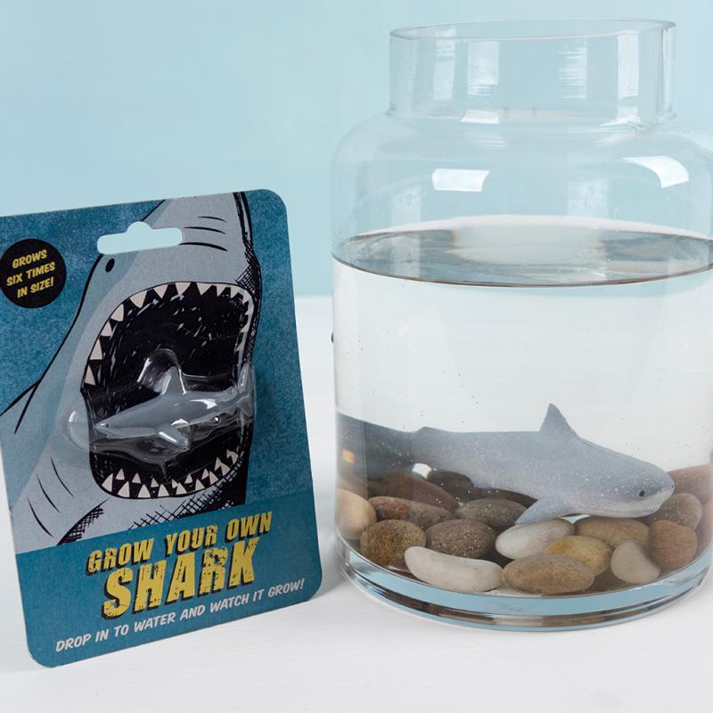 Grow Your Own Shark 28857 before and after