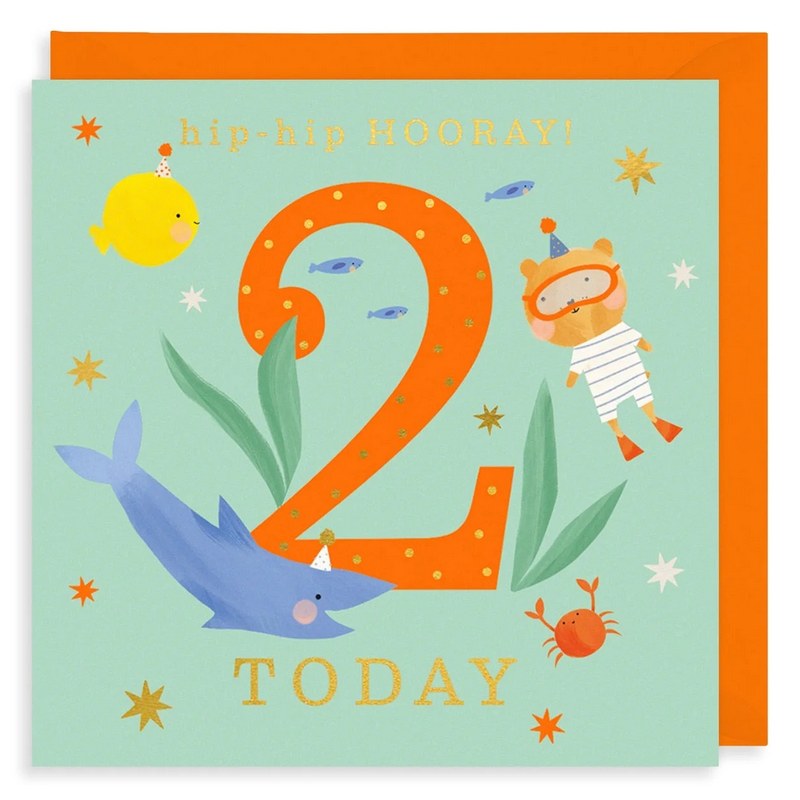 Hip-Hip Hooray 2 Today birthday Card PY02 front