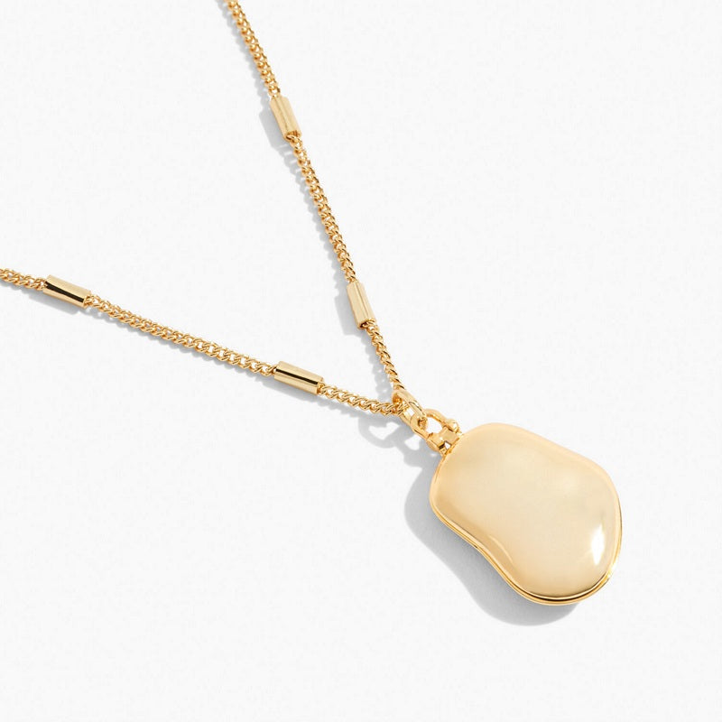 Joma Jewellery 6382 My Moments Gold Pebble Locket closed