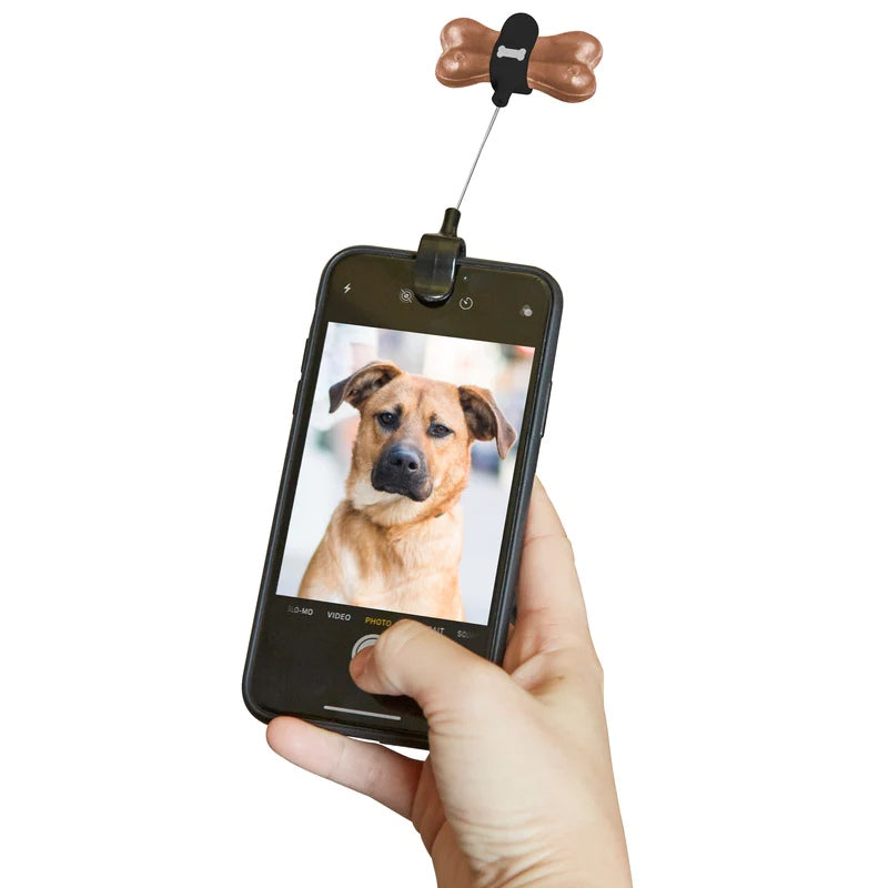 Kikkerland Dog Treat Selfie Clip DIG01 in use