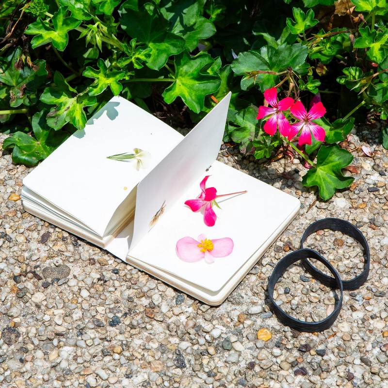 Kikkerland Field Flower Press CD708 lifestyle
