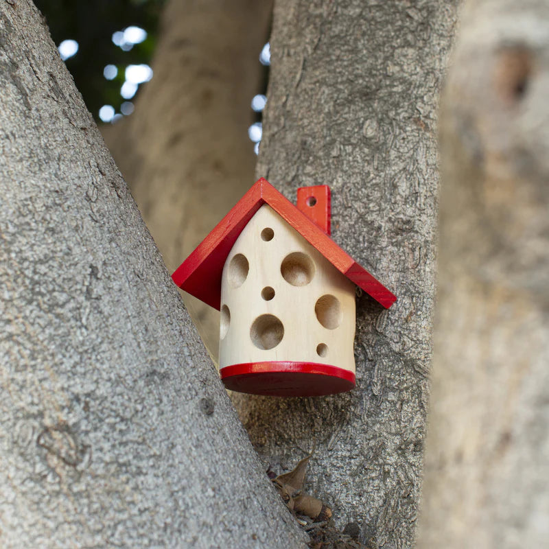 Kikkerland Ladybug House CD670 in use