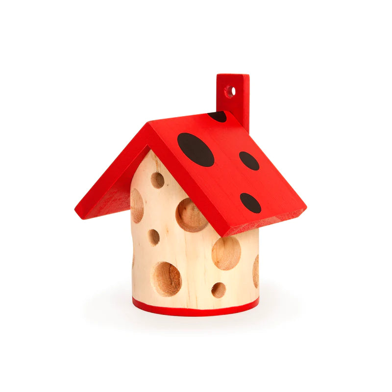 Kikkerland Ladybug House CD670 side