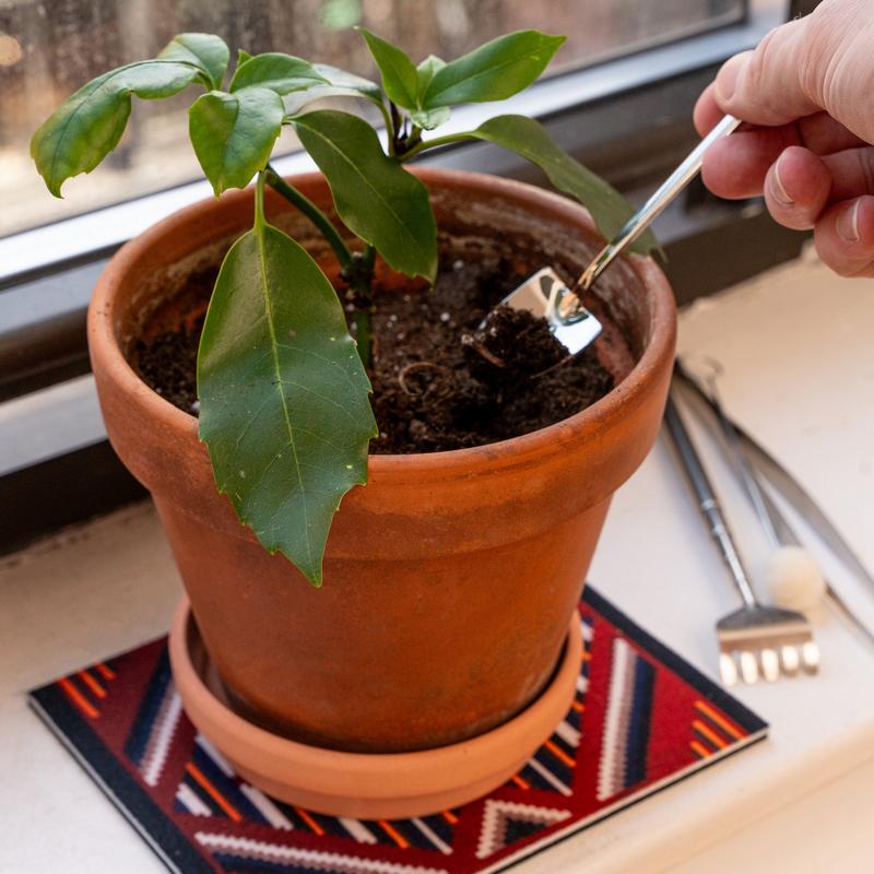 Kikkerland Mini Garden Tools CD703 lifestyle