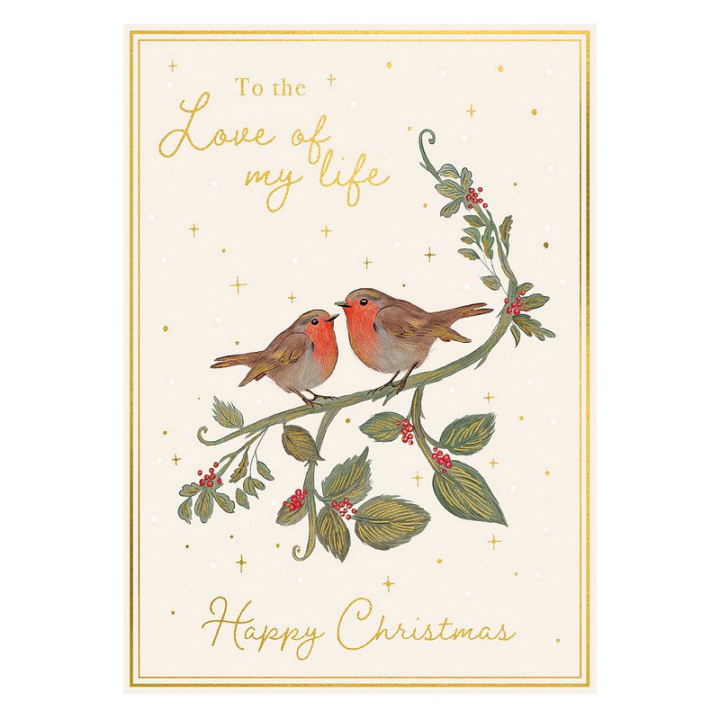 Love Of My Life Robins Christmas Card AFRX250 front