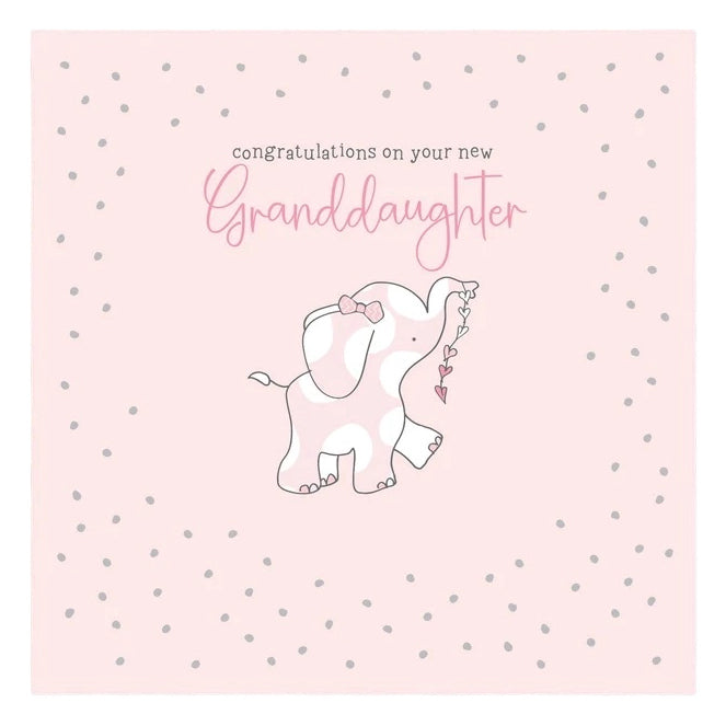 Molly Mae Congratulations on Your New Great Granddaughter GR07 Card front