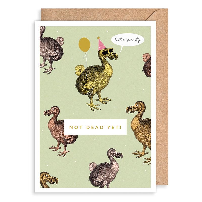 Not Dead Yet! Let's Party Birthday Card NR08 front