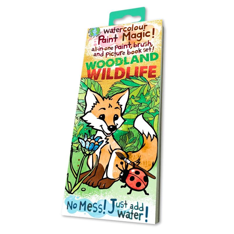 Paint Magic Woodland Wildlife book 220206 front