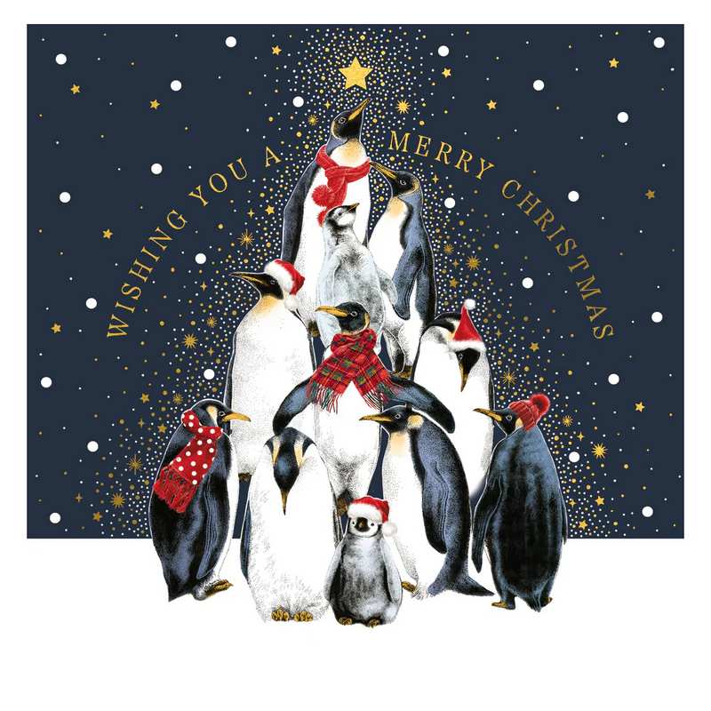 Penguins Luxury Christmas Cards Box LBX106 front