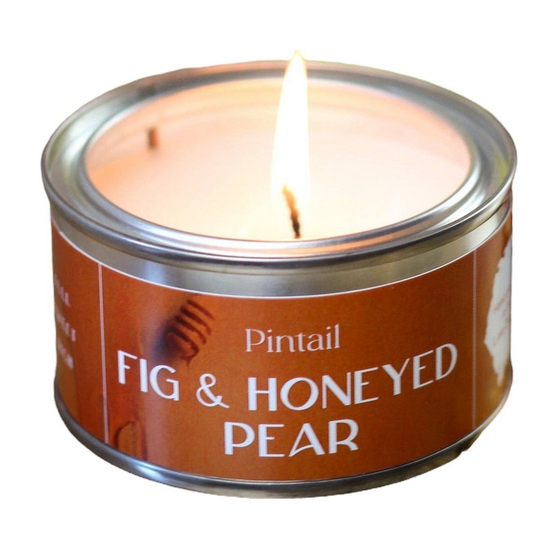 Pintail Candle Fig and Honeyed Pear Paintpot Tin front