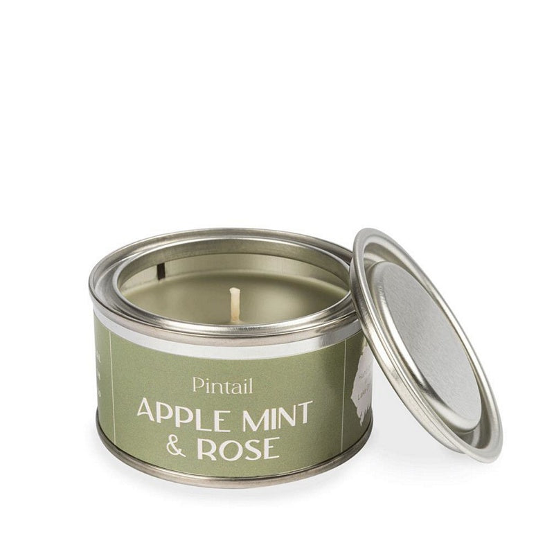 Pintail Candles Apple Mint & Rose Paint Pot Candle 89ml