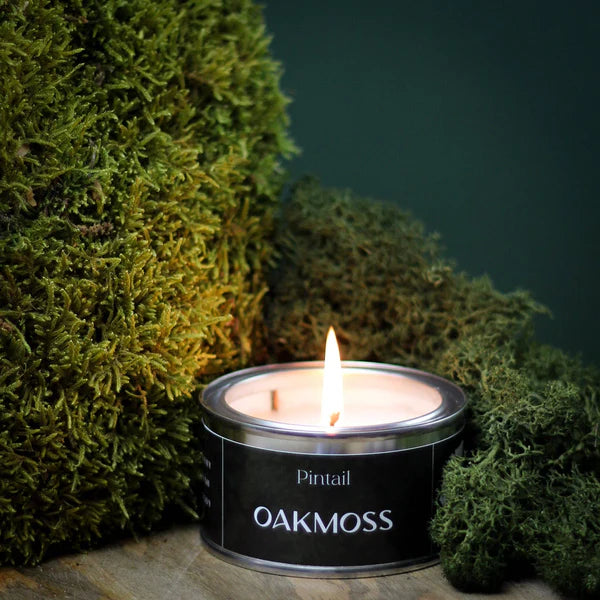 Pintail Candles Paintpot Tin Oakmoss lifestyle