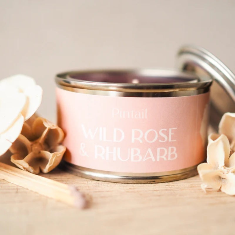 Pintail Candles Wild Rose & Rhubarb Paint Pot Candle 89ml lid