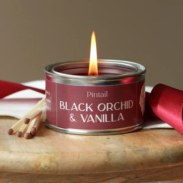 Pintail Paint Pot Candle Black Orchid & Vanilla lit