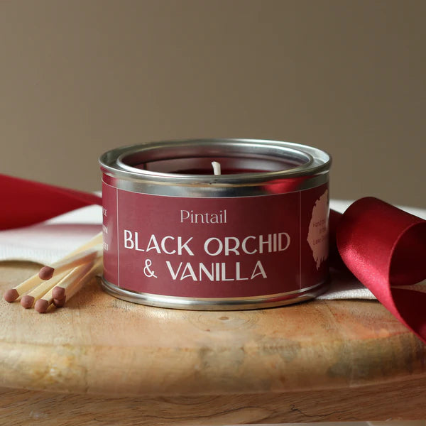 Pintail Paint Pot Candle Black Orchid & Vanilla unlit