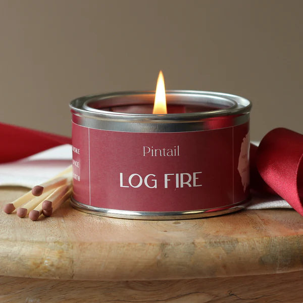 Pintail Paint Pot Candle Log Fire lit