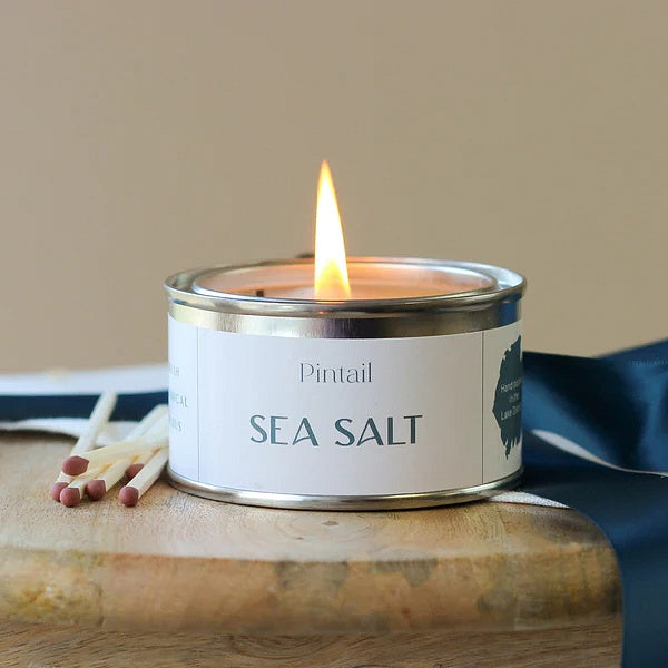 Pintail Candles Sea Salt Paint Pot Candle alight