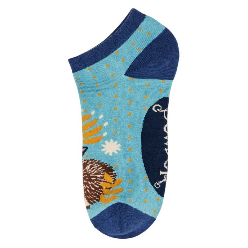 Powder Designs Hedgehog Hunting Trainer Socks Ice SOC685 flat