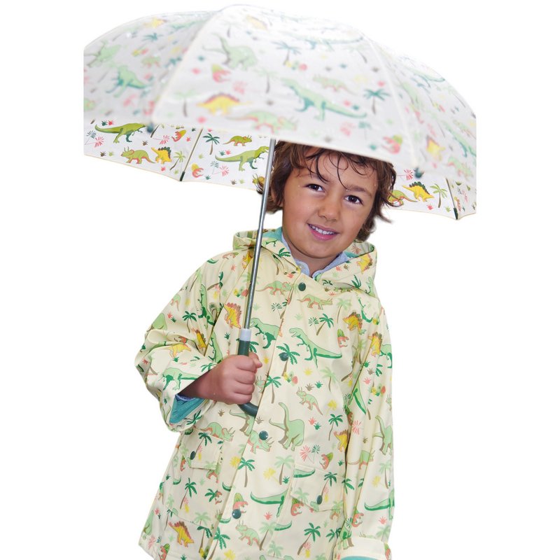 Powell Craft Dinosaur Raincoat RMDN on boy with umbrella