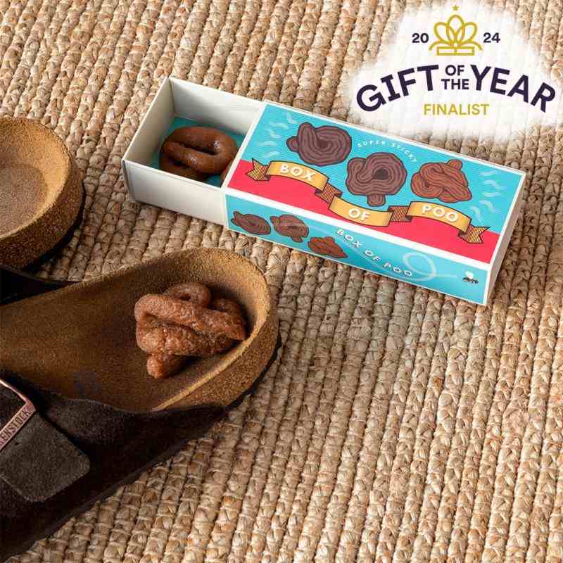 Rex International Box of Sticky Poo 29878 lifestyle