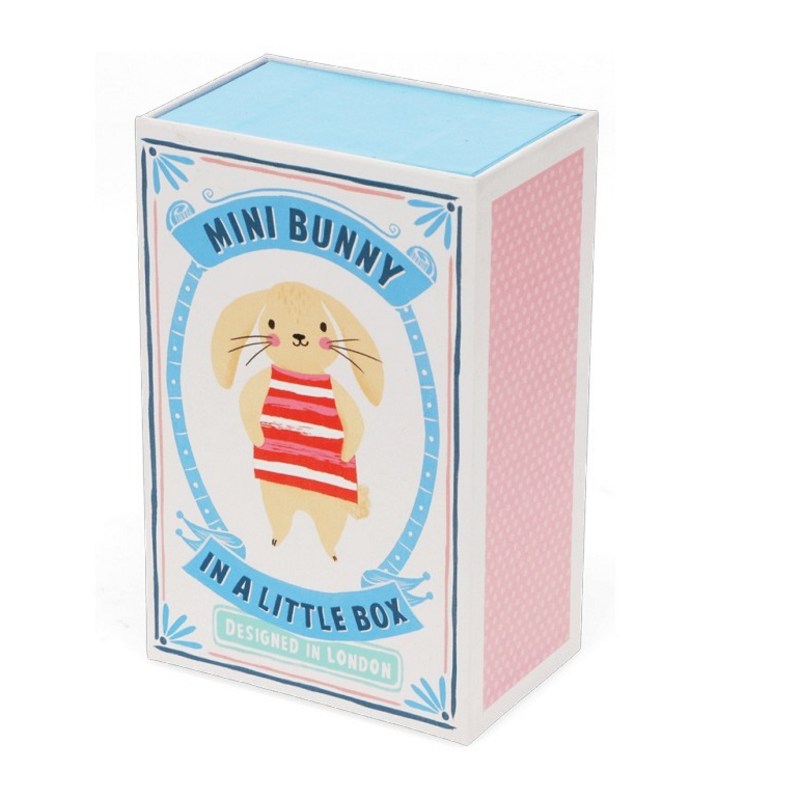 Rex International Mini Bunny in a Little Box 30696 box front