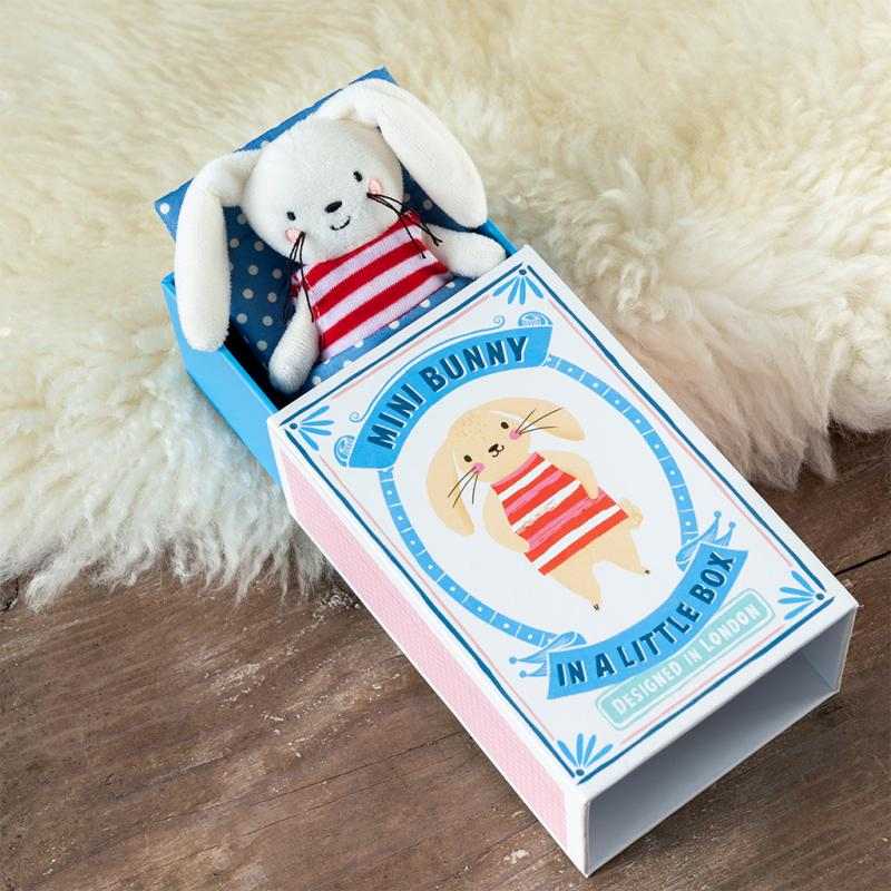 Rex International Mini Bunny in a Little Box 30696 lifestyle 2